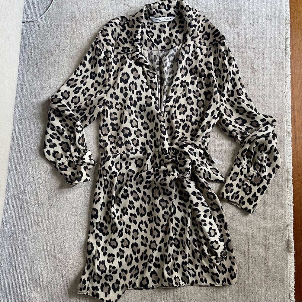 Zara dress